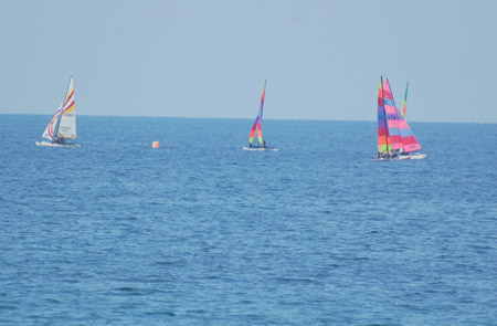 Hobie