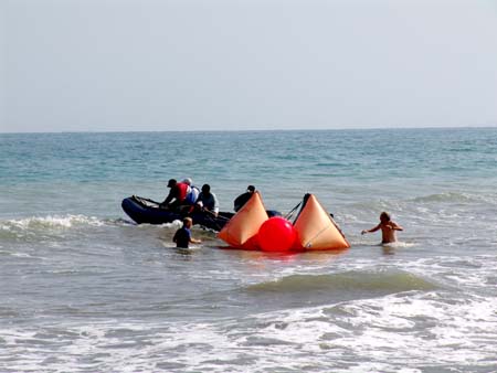 DSC02433