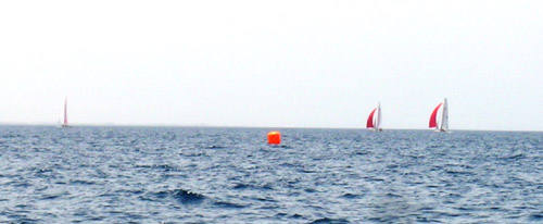 DSCN6017