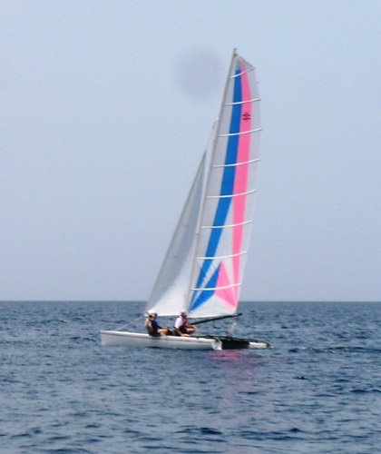 DSCN6019