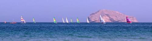 DSC07154