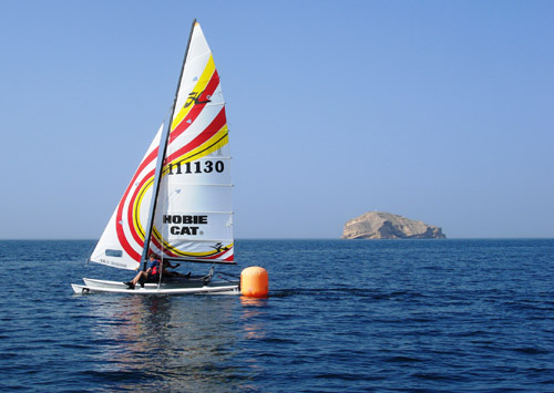 TvT33