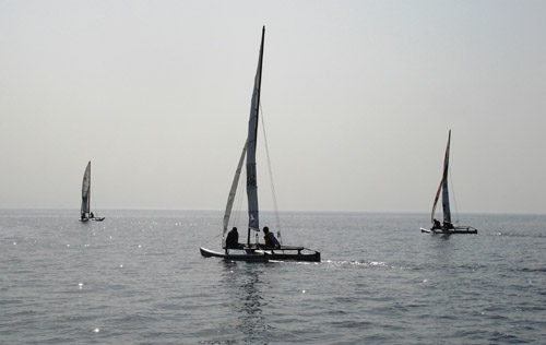 TvT36