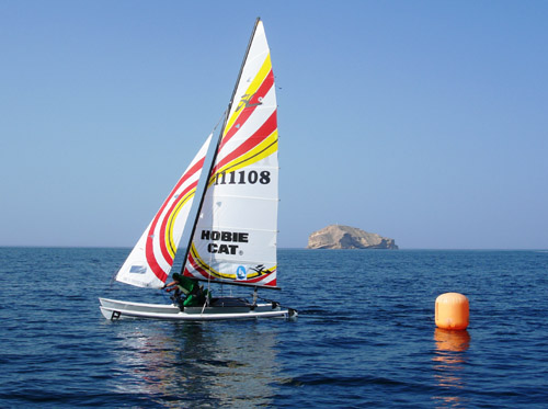 TvT43