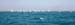 2DSC0608102