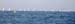2DSC0618031